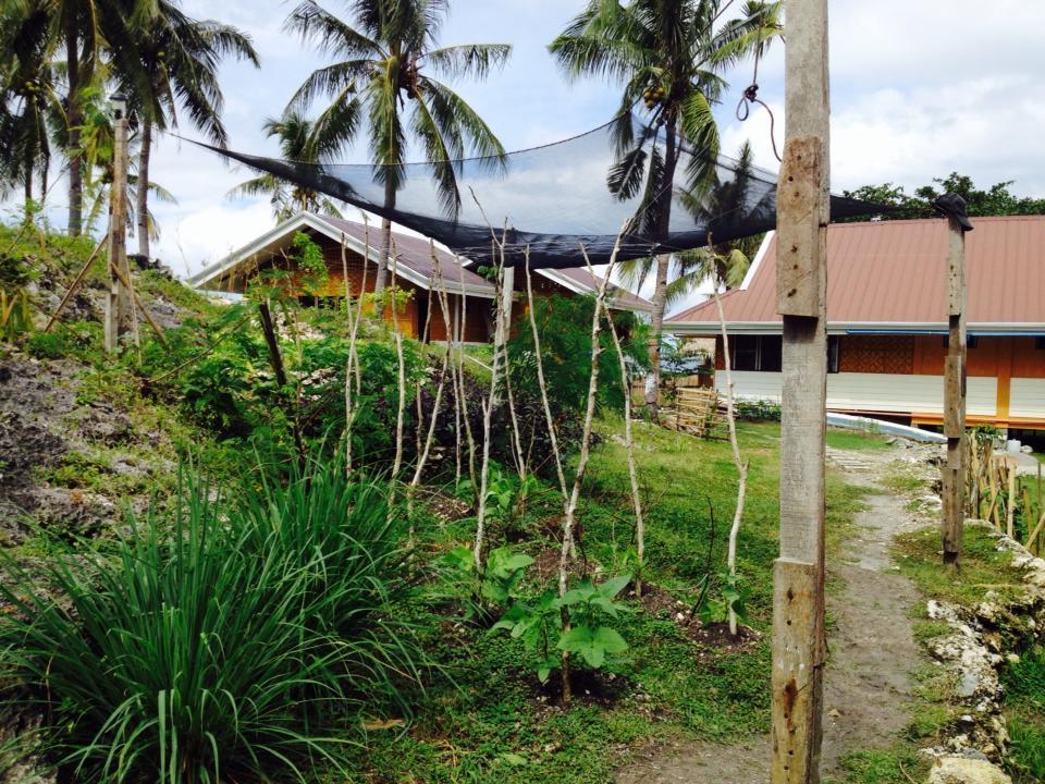 Liwayway Sa Bohol Pamilacan Resort Baclayon Værelse billede