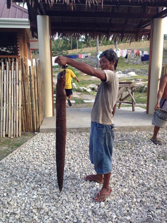 Liwayway Sa Bohol Pamilacan Resort Baclayon Eksteriør billede